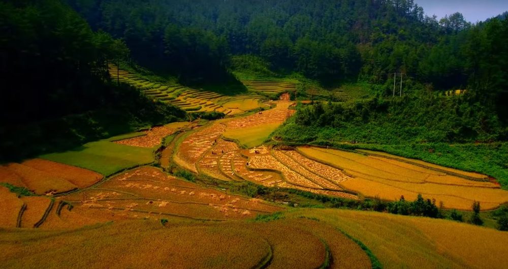 Đăng ký thường trú tại Việt Nam cho người nước ngoài Đăng ký thường trú tại Việt Nam cho người nước ngoài