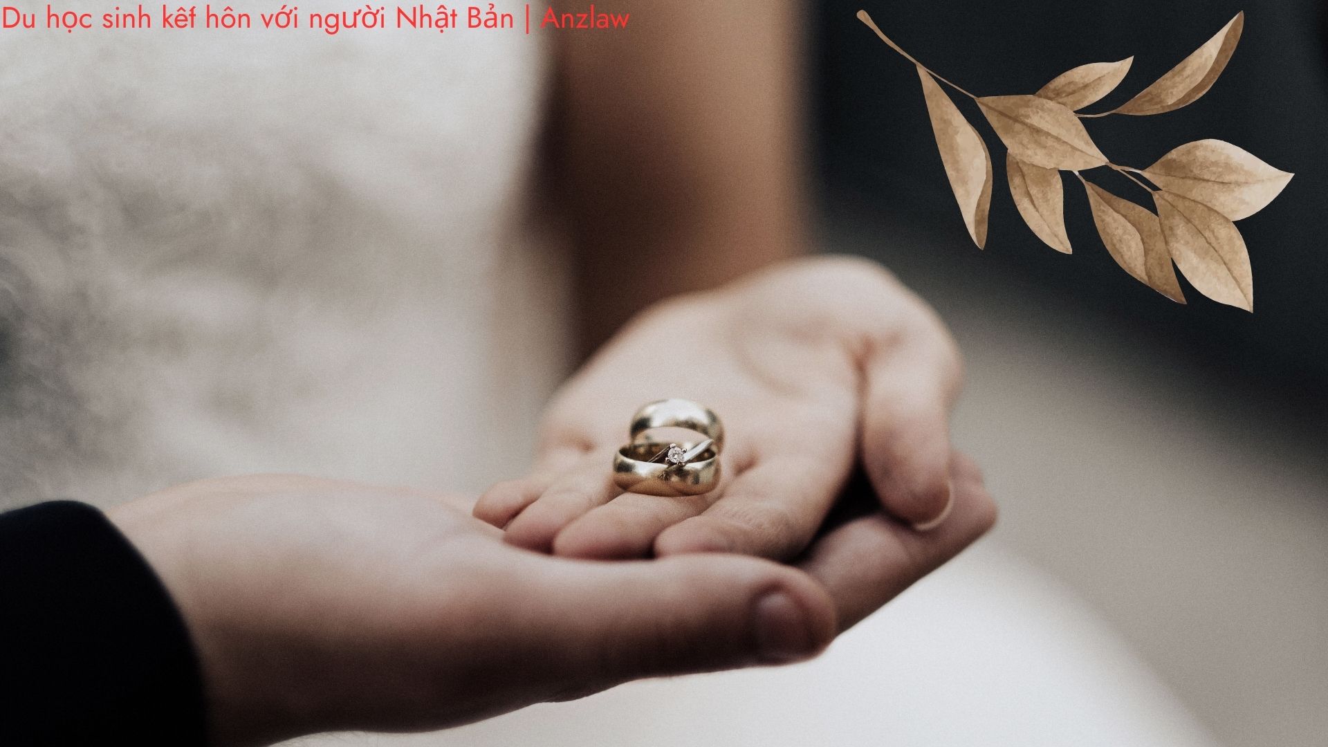 Du học sinh kết hôn với người Nhật Bản | ảnh minh họa