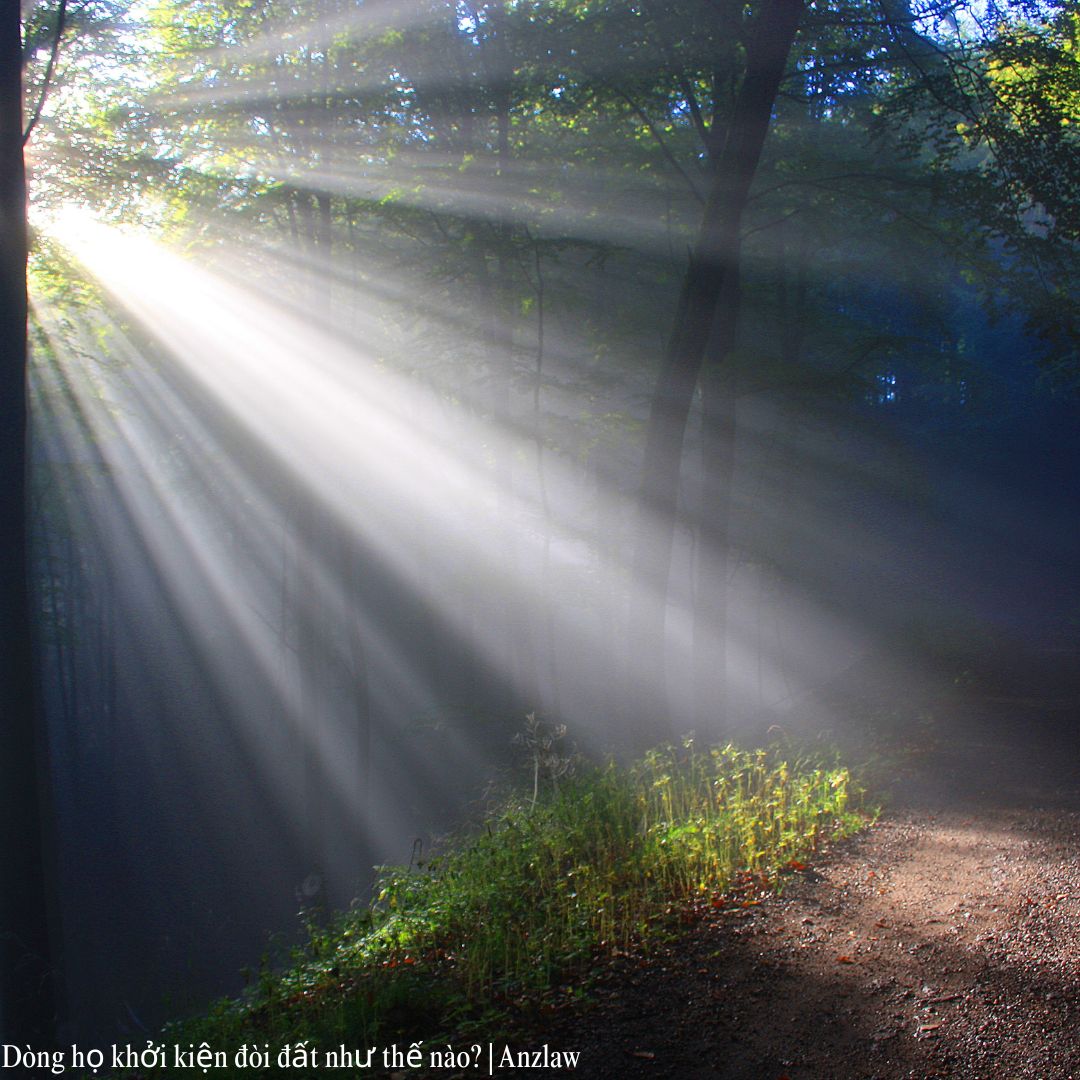 Dòng họ khởi kiện đòi đất như thế nào? | ảnh minh họa Dòng họ khởi kiện đòi đất như thế nào? | ảnh minh họa